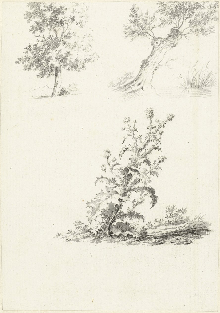 Deux études d