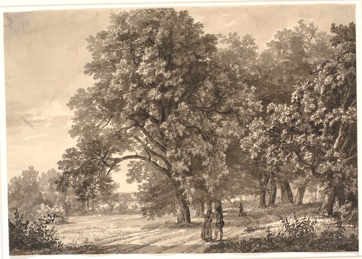 Vue d