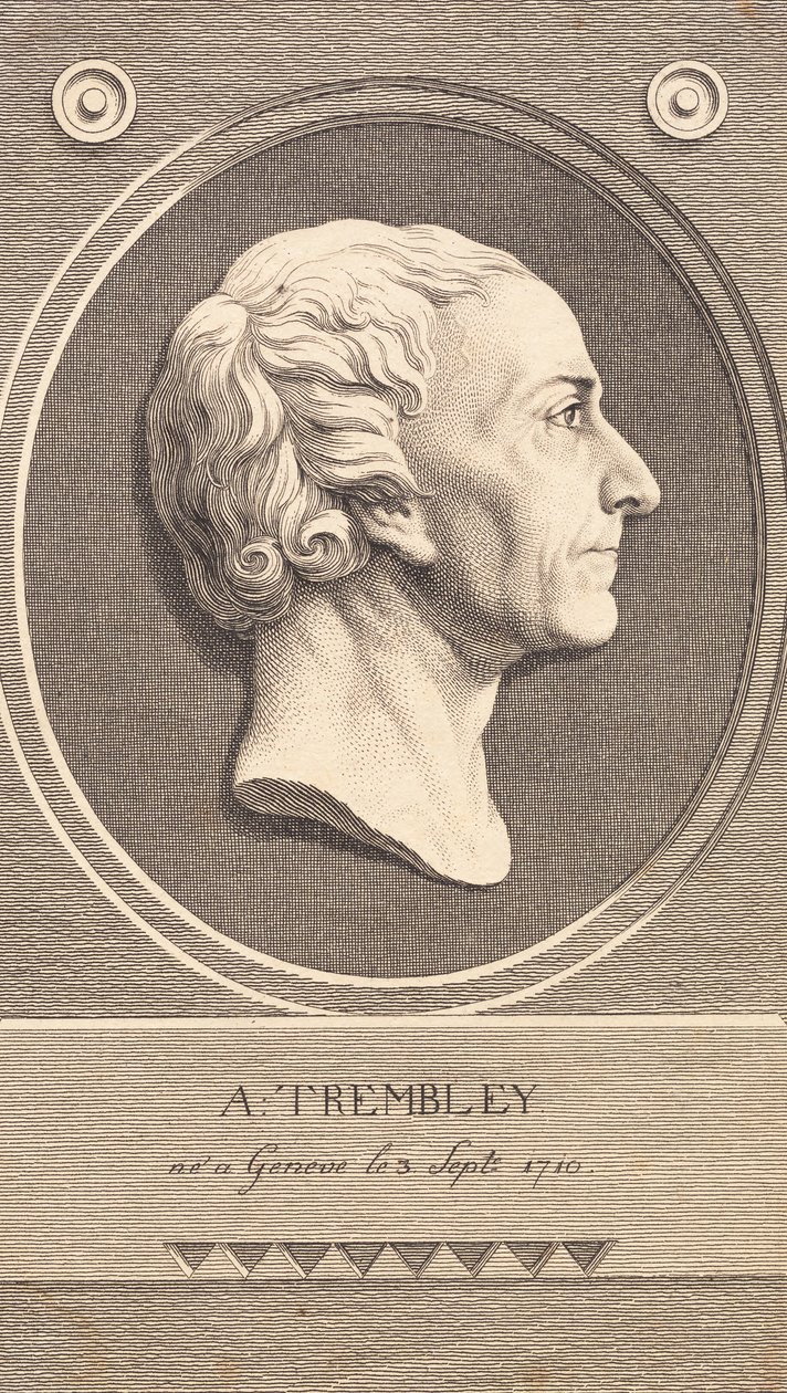 Médaillon en relief avec portrait du zoologiste Abraham Trembley - J.F. Clemens
