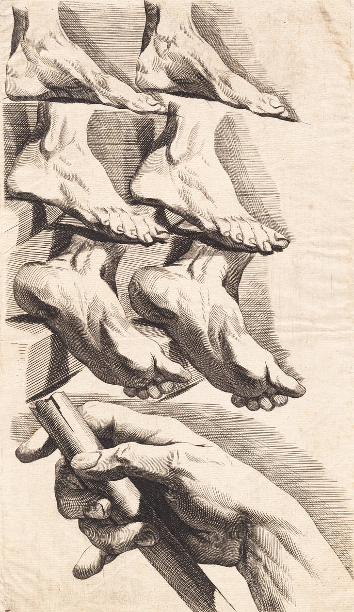Feuille d