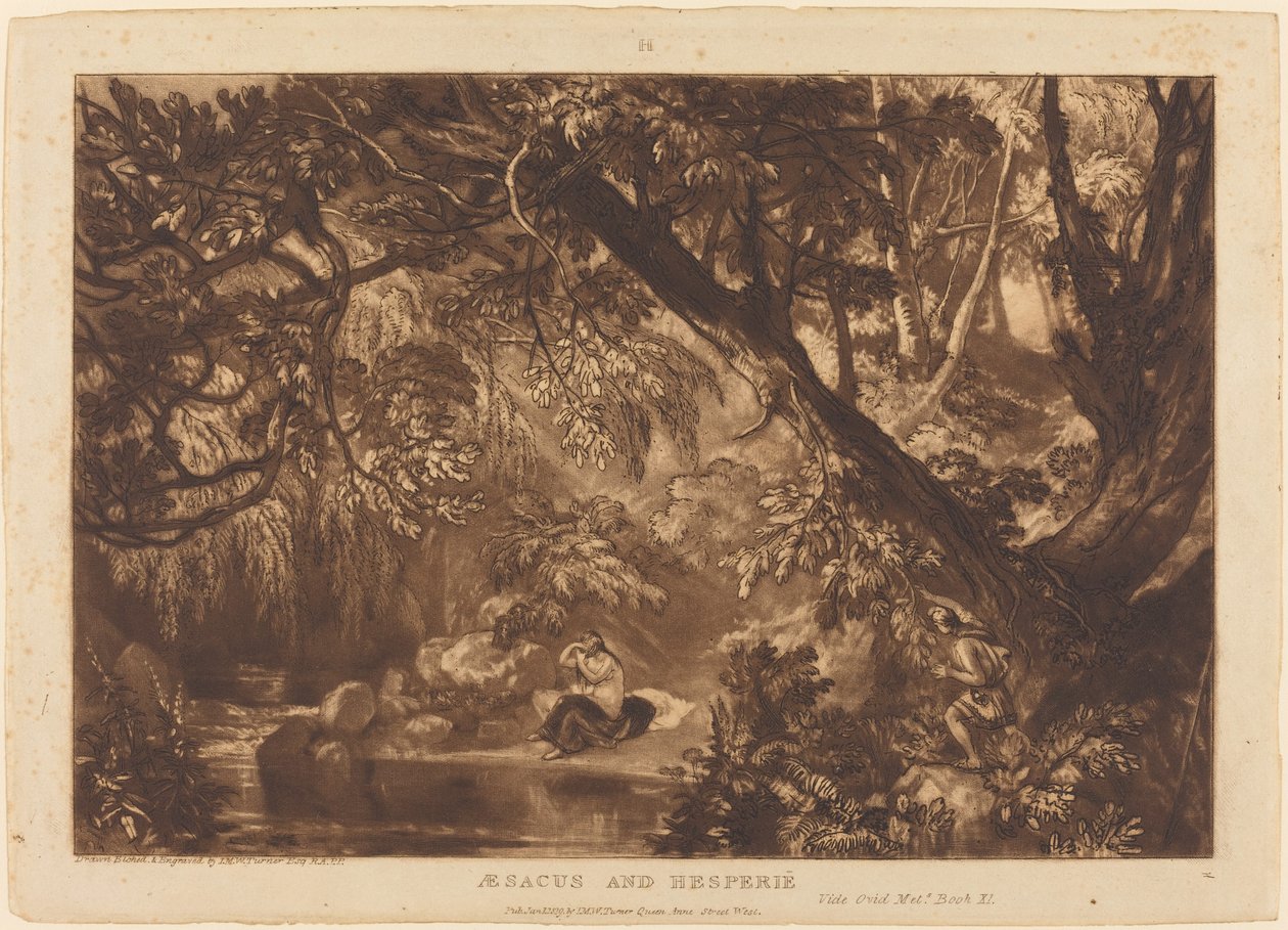 Aesacus et Hesperie, publié 1819 - Joseph Mallord William Turner