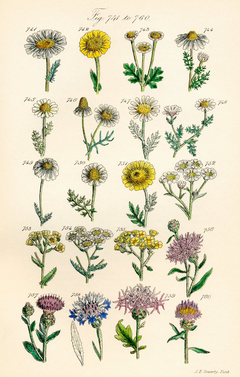 Page d