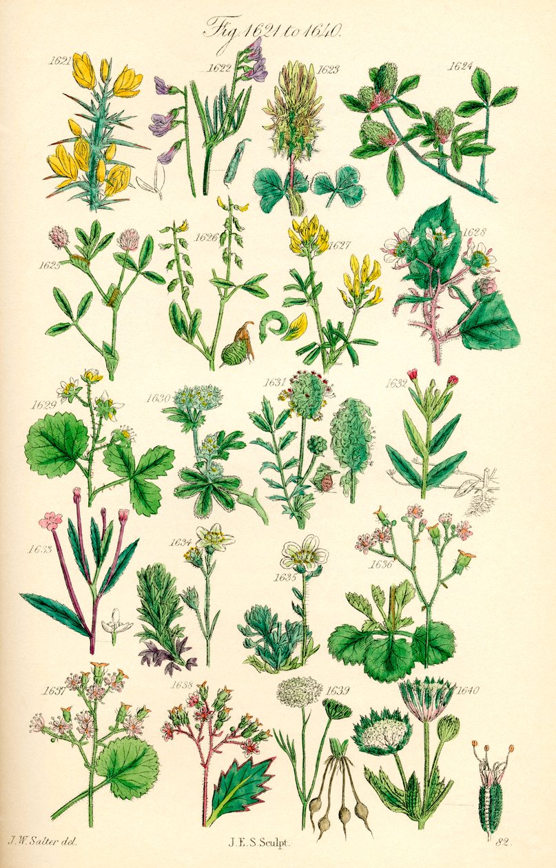 Page d