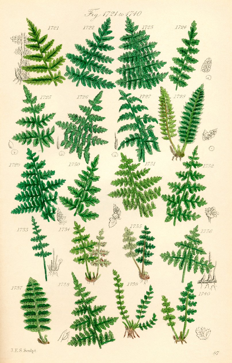Page d