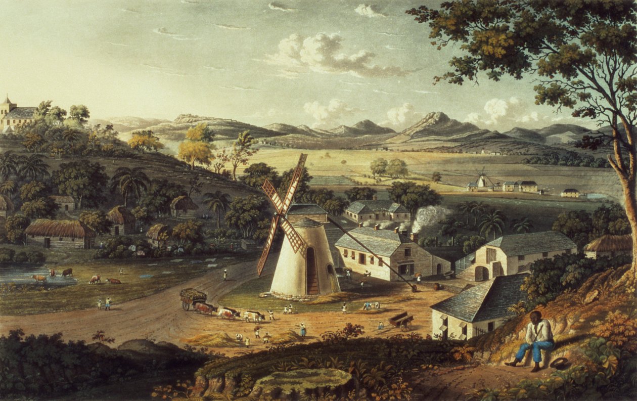 Vue de l