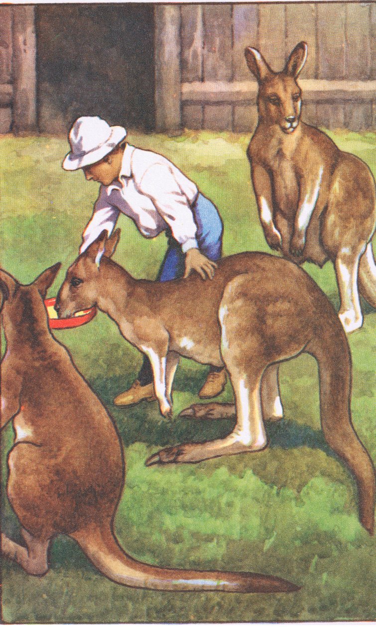 Garçon australien, des affiches scolaires de MacMillan, vers 1950-60 - J. Macfarlane