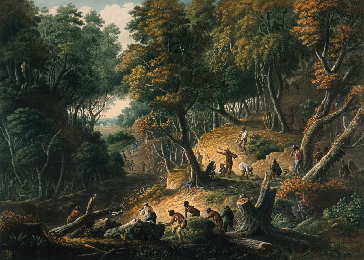 Les Marrons en embuscade sur le domaine de Dromilly dans la paroisse de Trelawney - J. Merigot