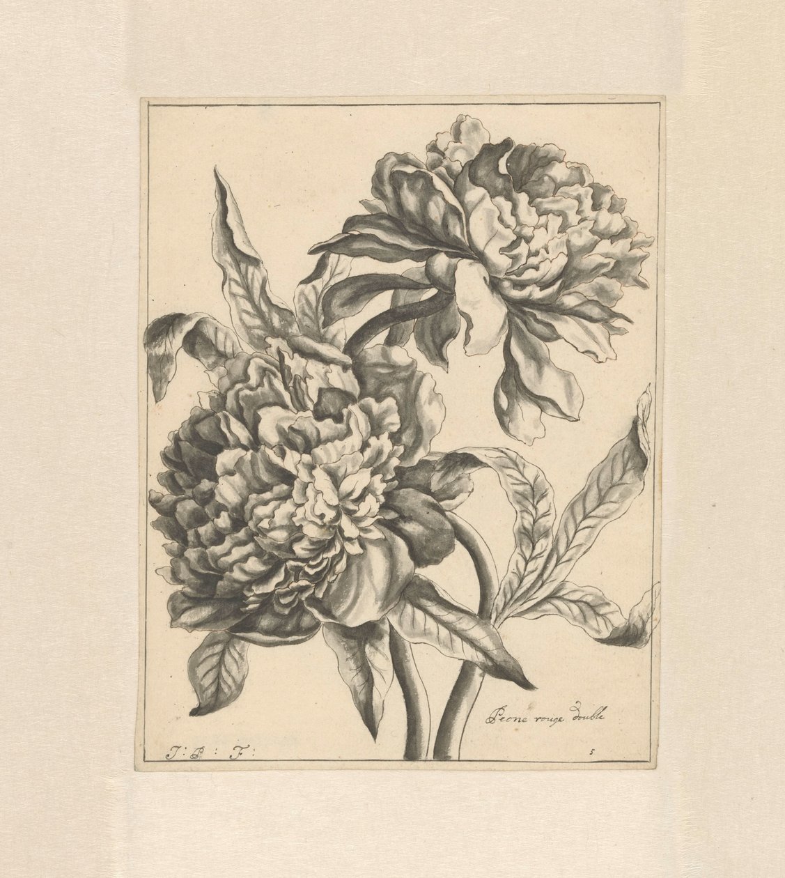 Deux branches avec une pivoine - J. Porteret