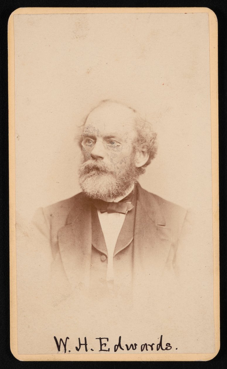 Portrait de William Henry Edwards 1822-1909, vers 1870-1880 - J and W Vincent