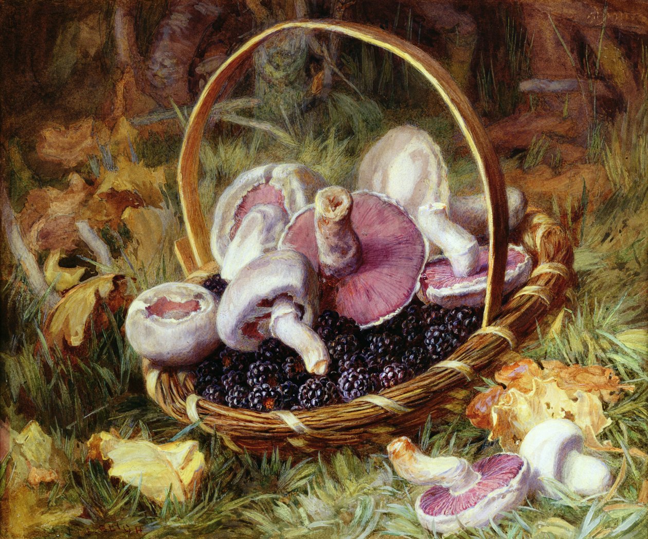 Un panier de champignons sauvages et de mûres - Jabez Bligh