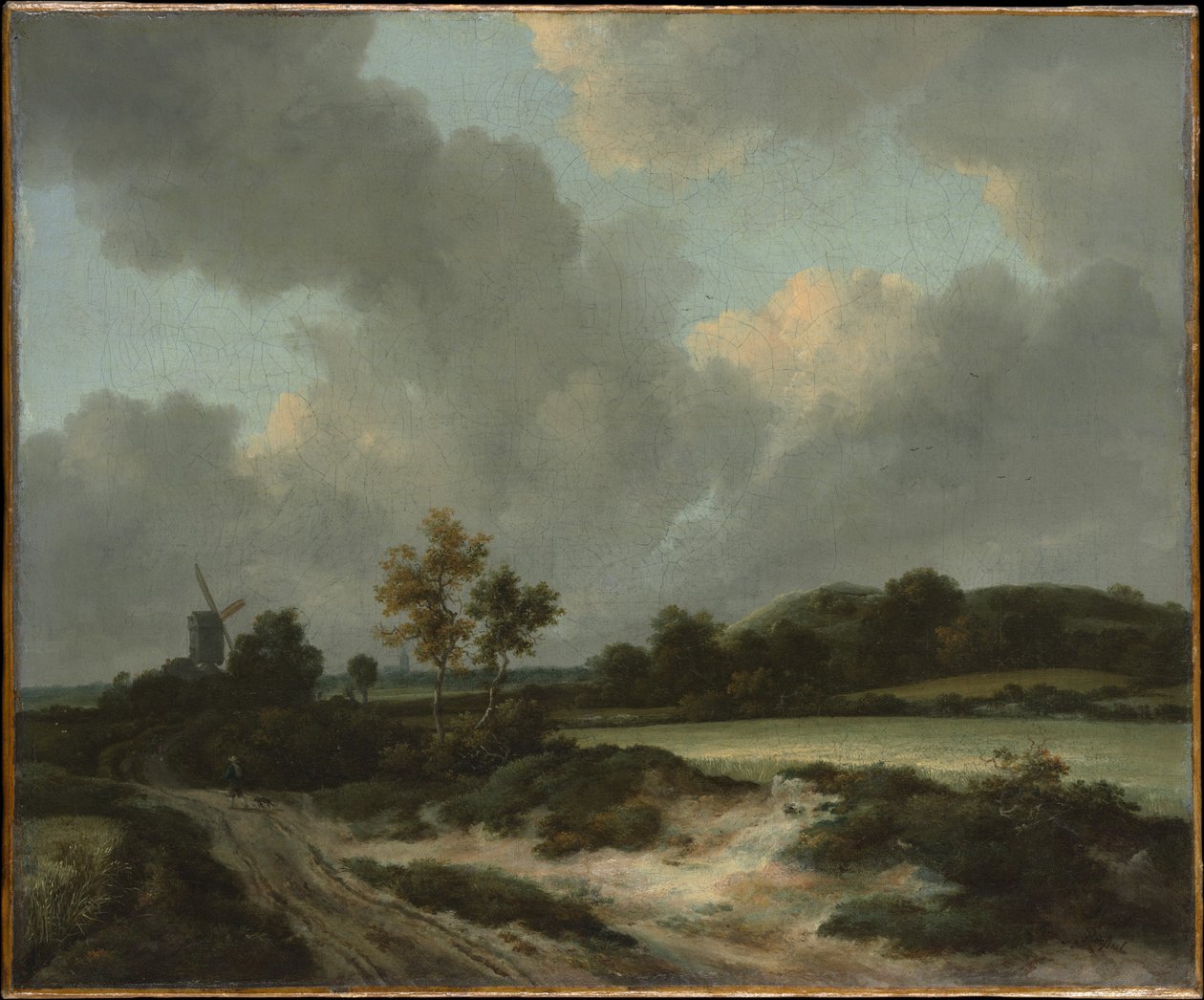 Champs de blé - Jacob van Ruisdael