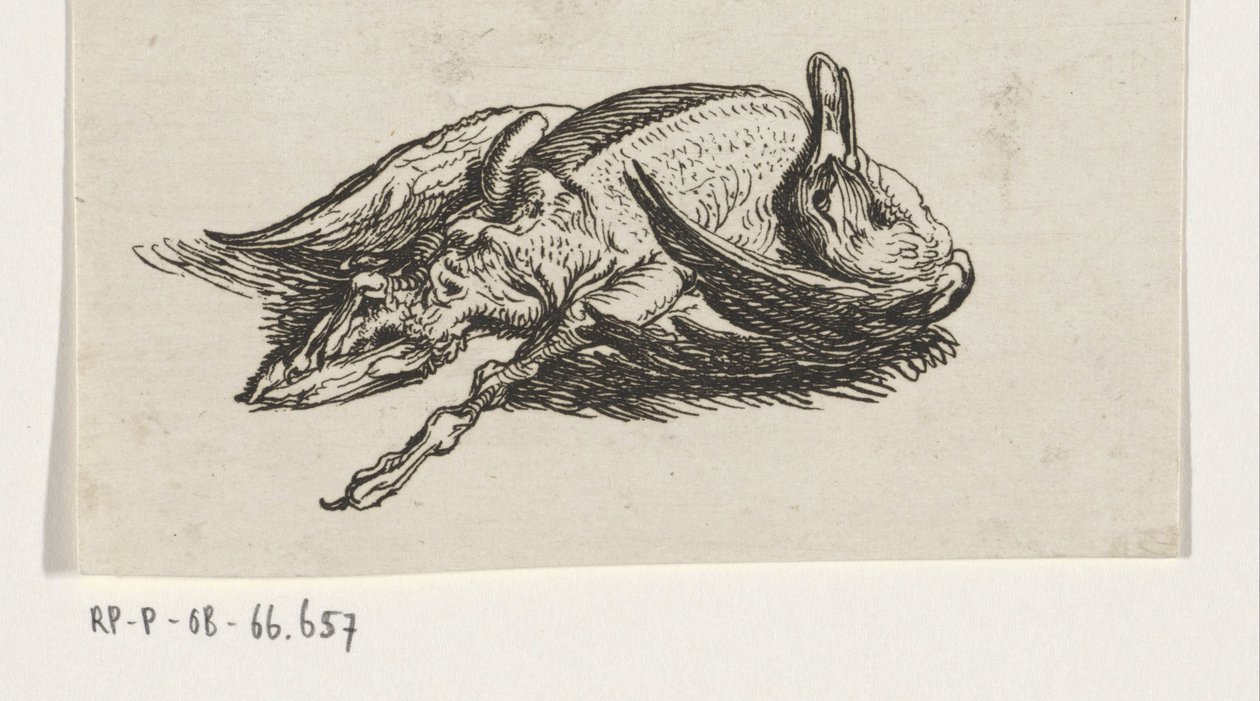 Canard mort - Jacob Elias van Varelen