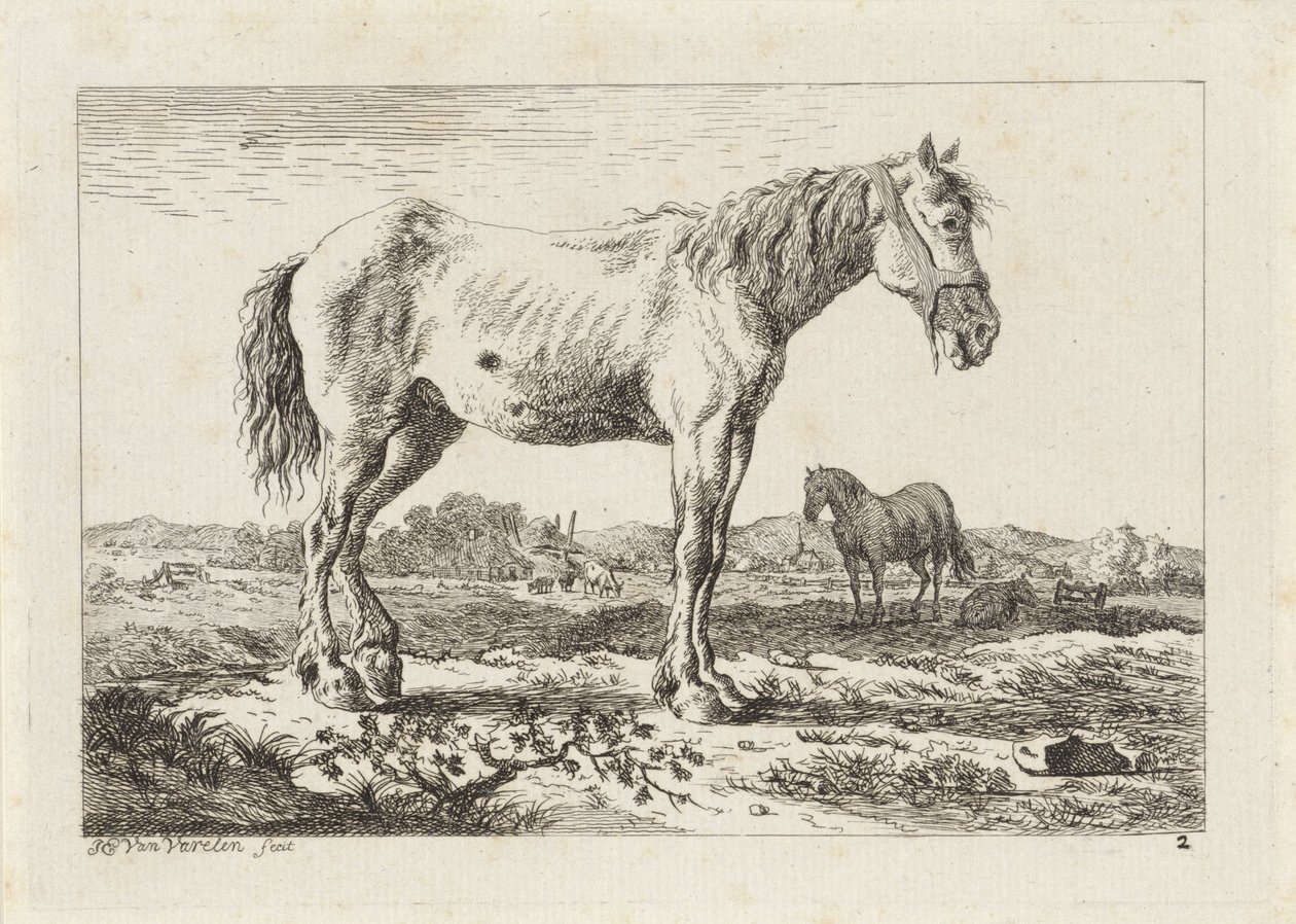 Cheval debout dans un paysage - Jacob Elias van Varelen