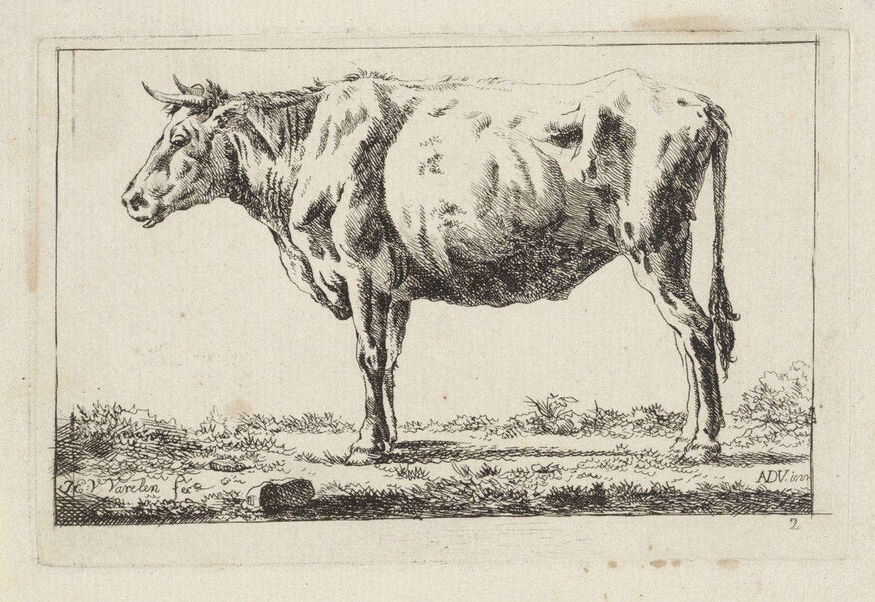 Boeuf debout, vers la gauche - Jacob Elias van Varelen
