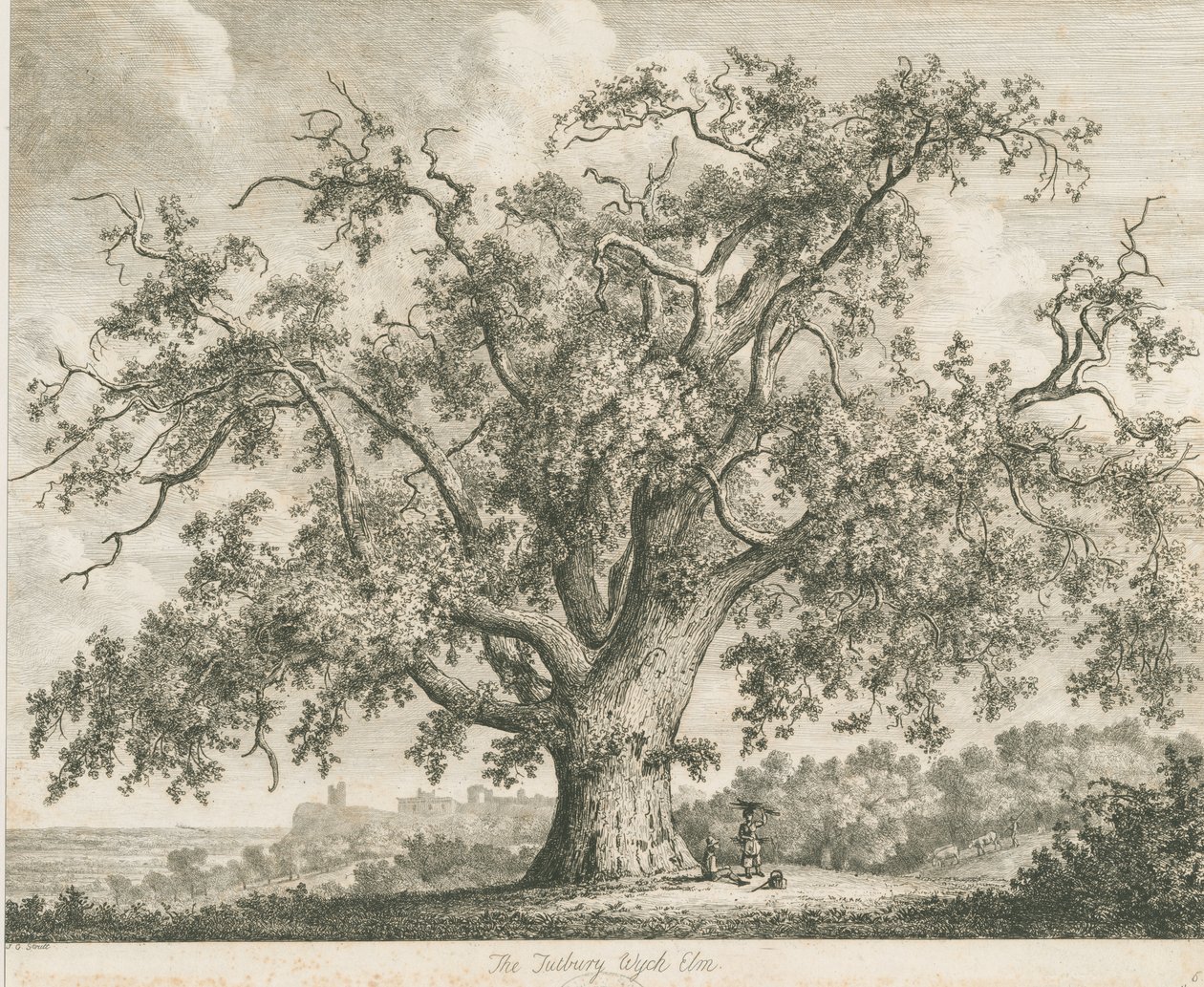 Tutbury - "Orme de Wych" : gravure - Jacob George Strutt