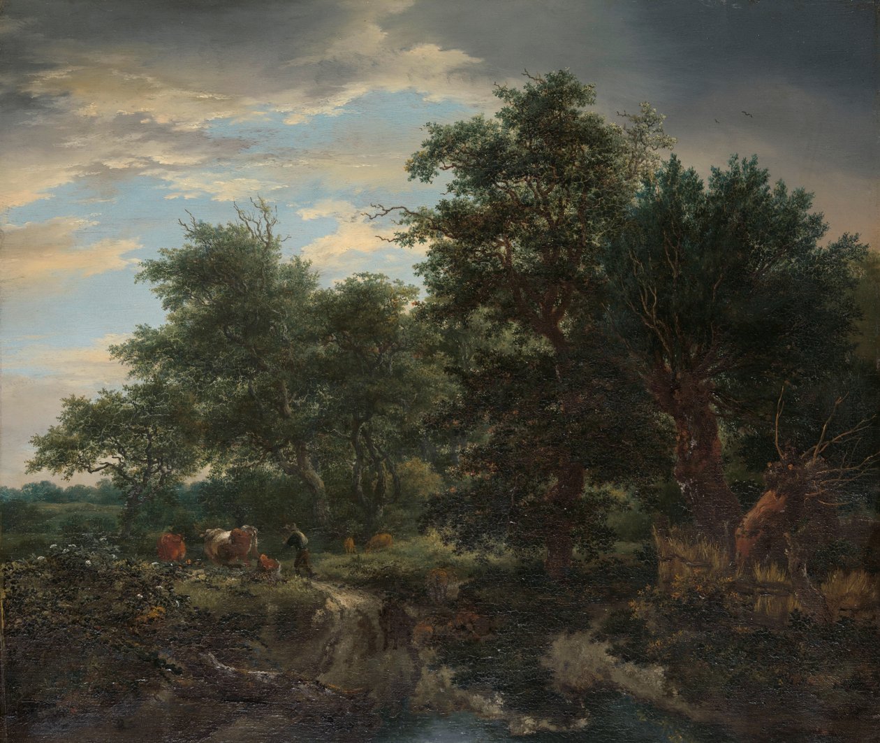 Scène de forêt - Jacob van Ruisdael