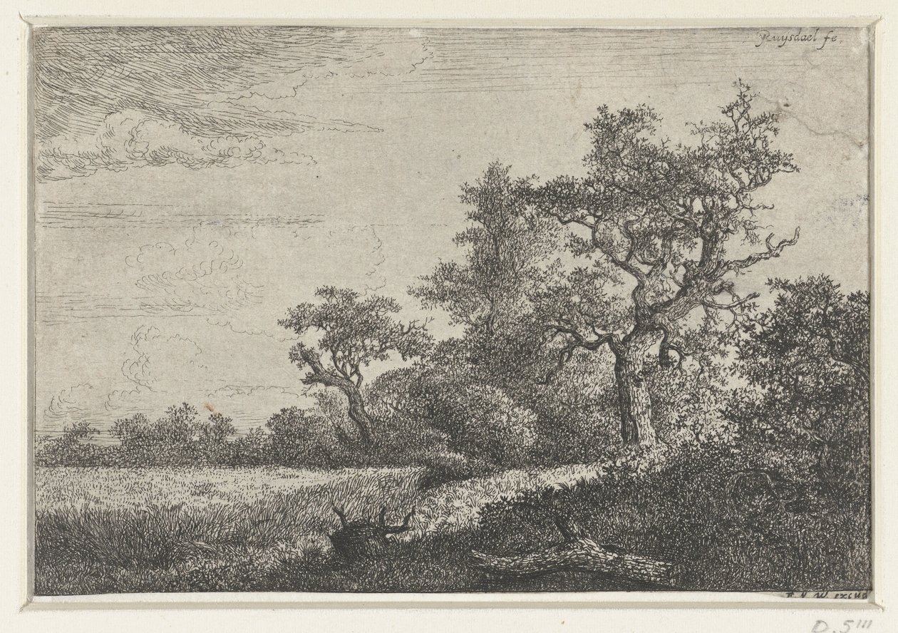 Le Champ de blé - Jacob van Ruisdael
