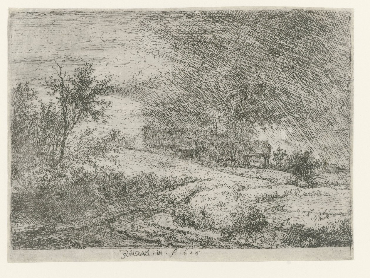 Paysage avec une ferme - Jacob van Ruisdael