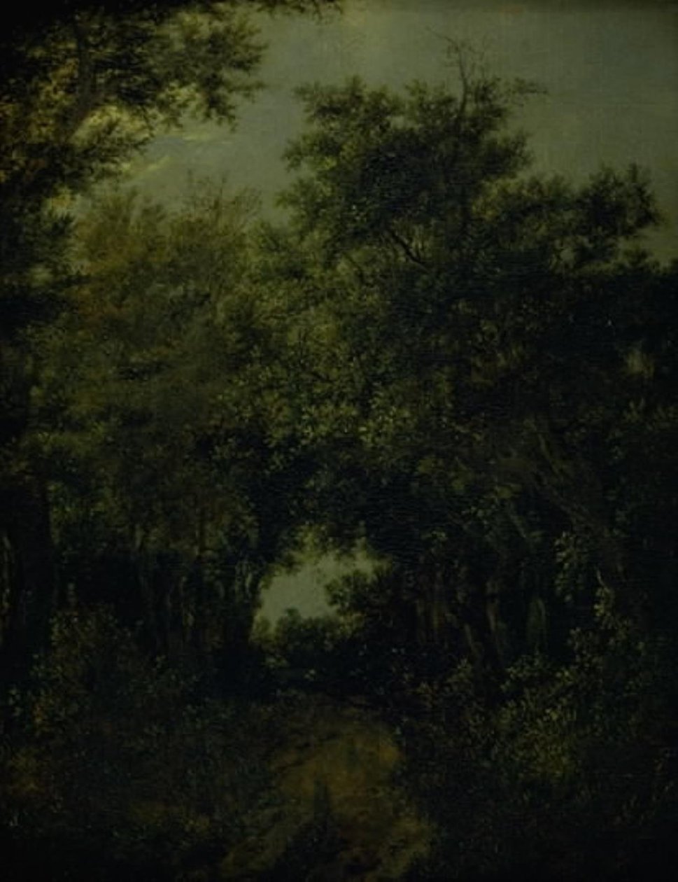 Route dans une forêt de chênes - Jacob van Ruisdael