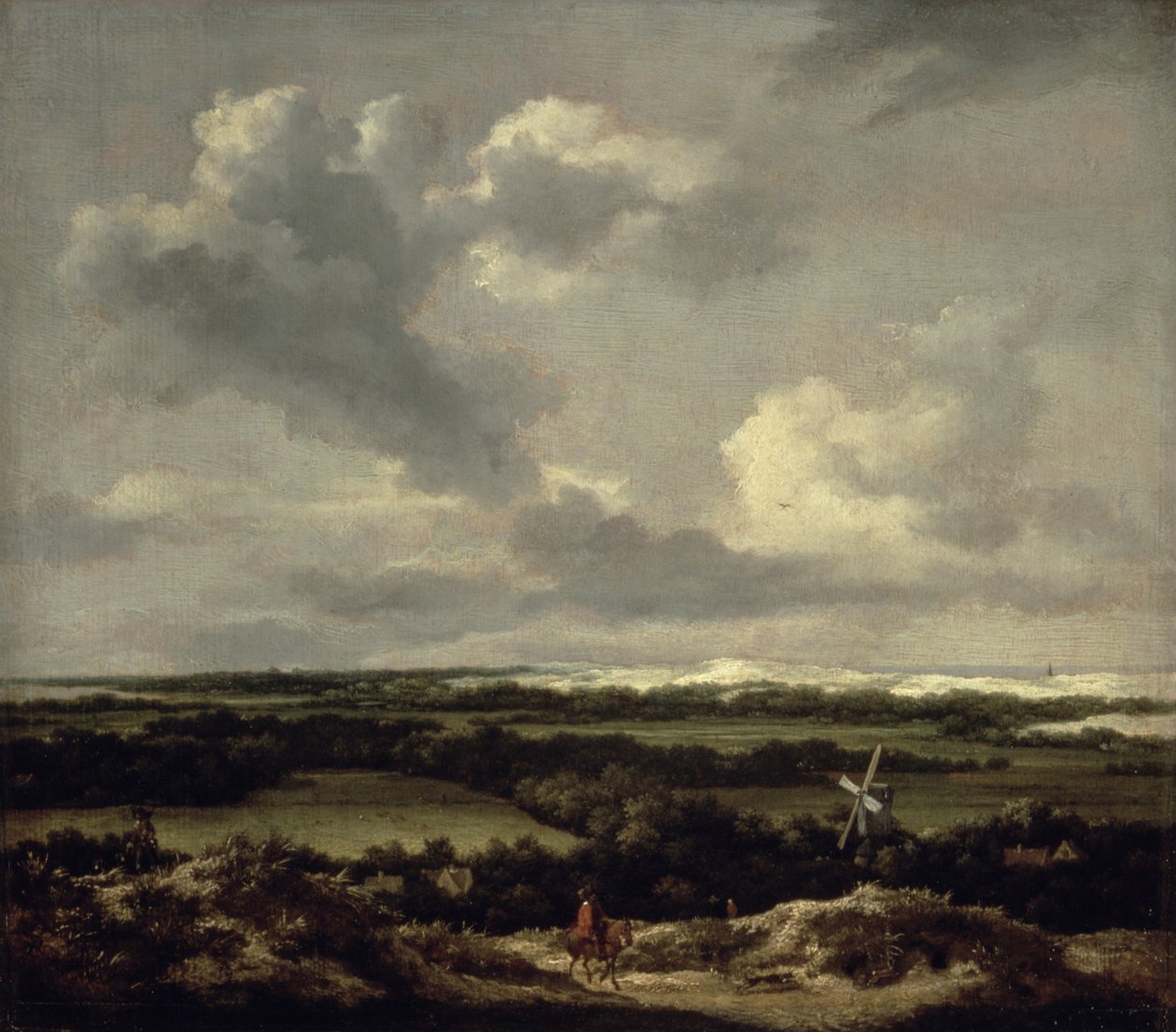 Paysage avec dunes près de Haarlem - Jacob van Ruisdael