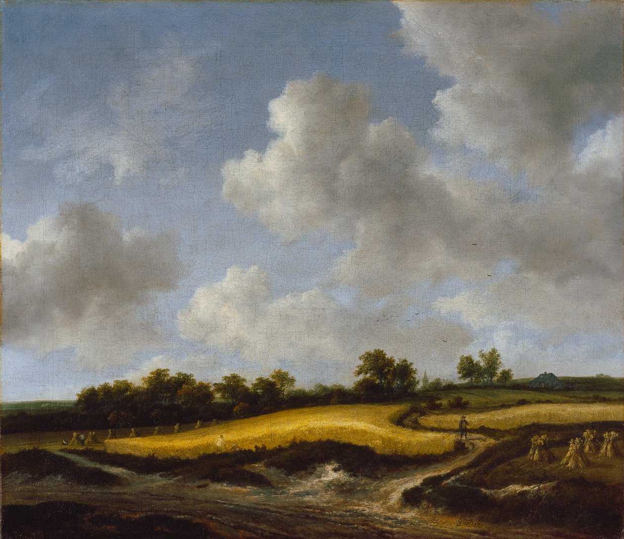 Paysage avec un champ de blé, vers 1660 - Jacob van Ruisdael
