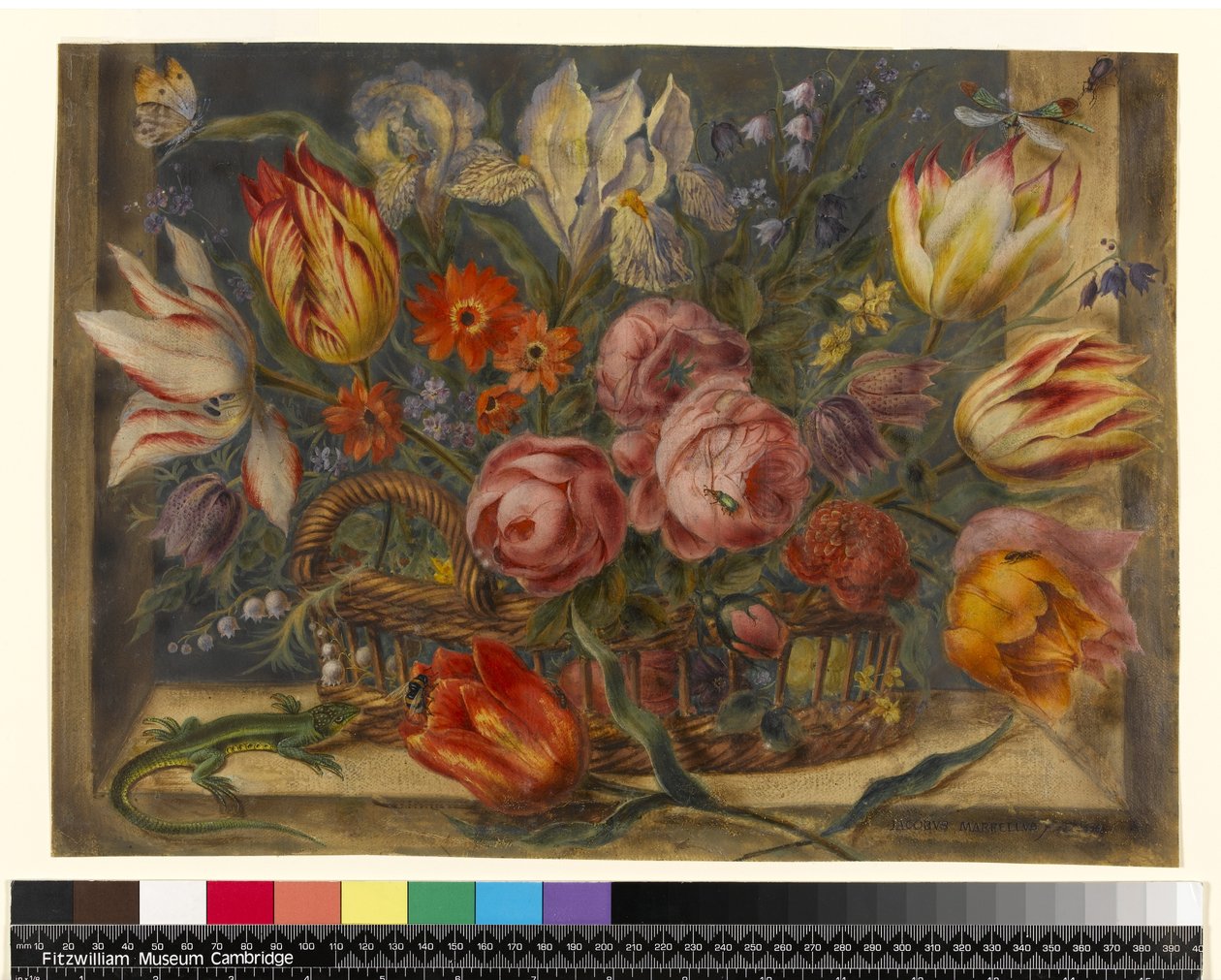 Étude de fleurs : fleurs assorties dans un panier, avec des insectes et un lézard dans un cadre de fenêtre, 1634 - Jacob Marrel
