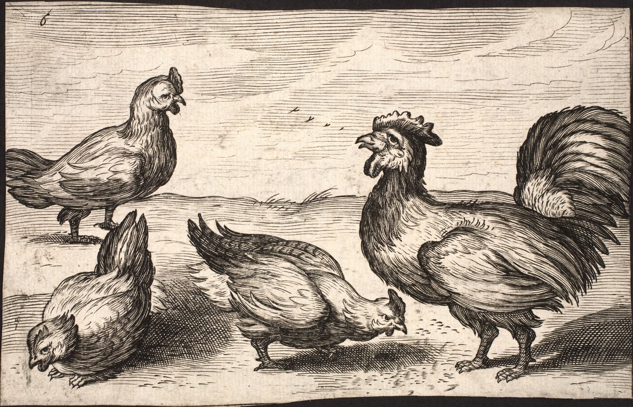 Un coq avec trois poules - Jacob Matham
