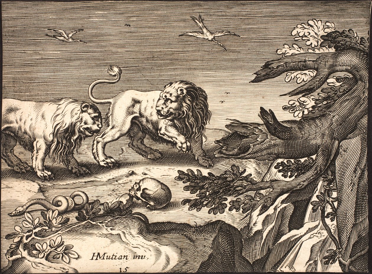 Deux lions dans la nature - Jacob Matham