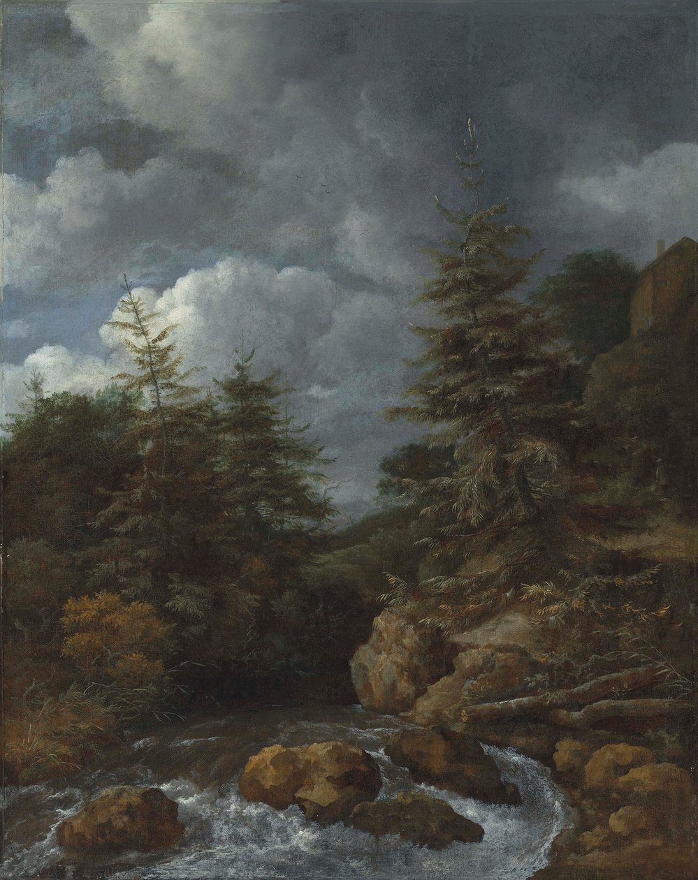Paysage de rivière avec des sapins près d