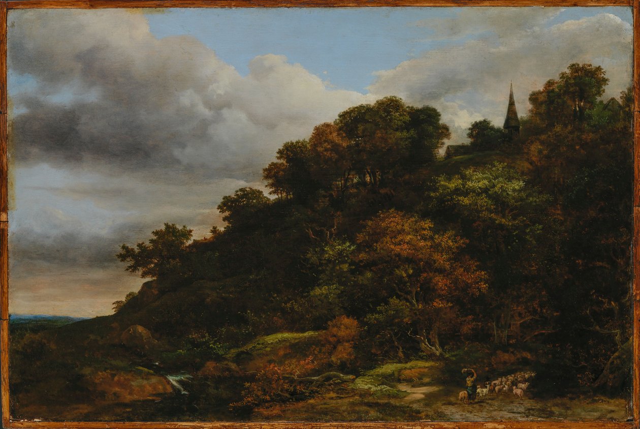Une colline boisée - Jacob van Ruisdael