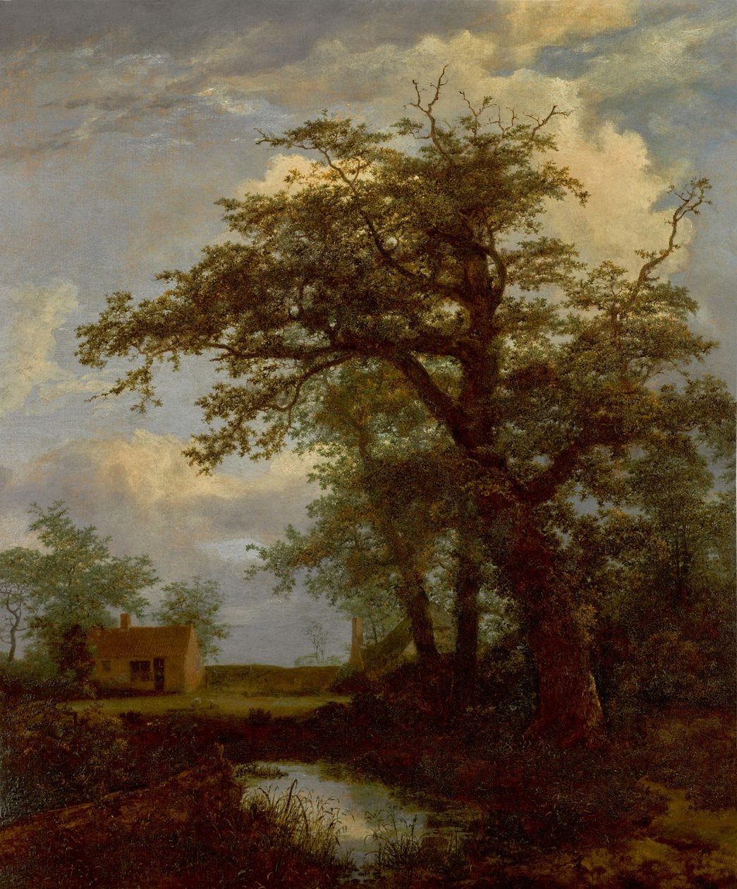 Paysage boisé avec un chêne, un étang et des maisons au-delà. - Jacob van Ruisdael
