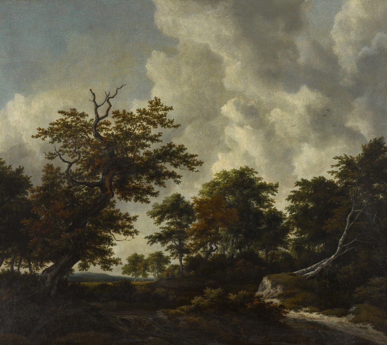 Paysage de bosquets avec un grand chêne et deux hêtres abattus près d