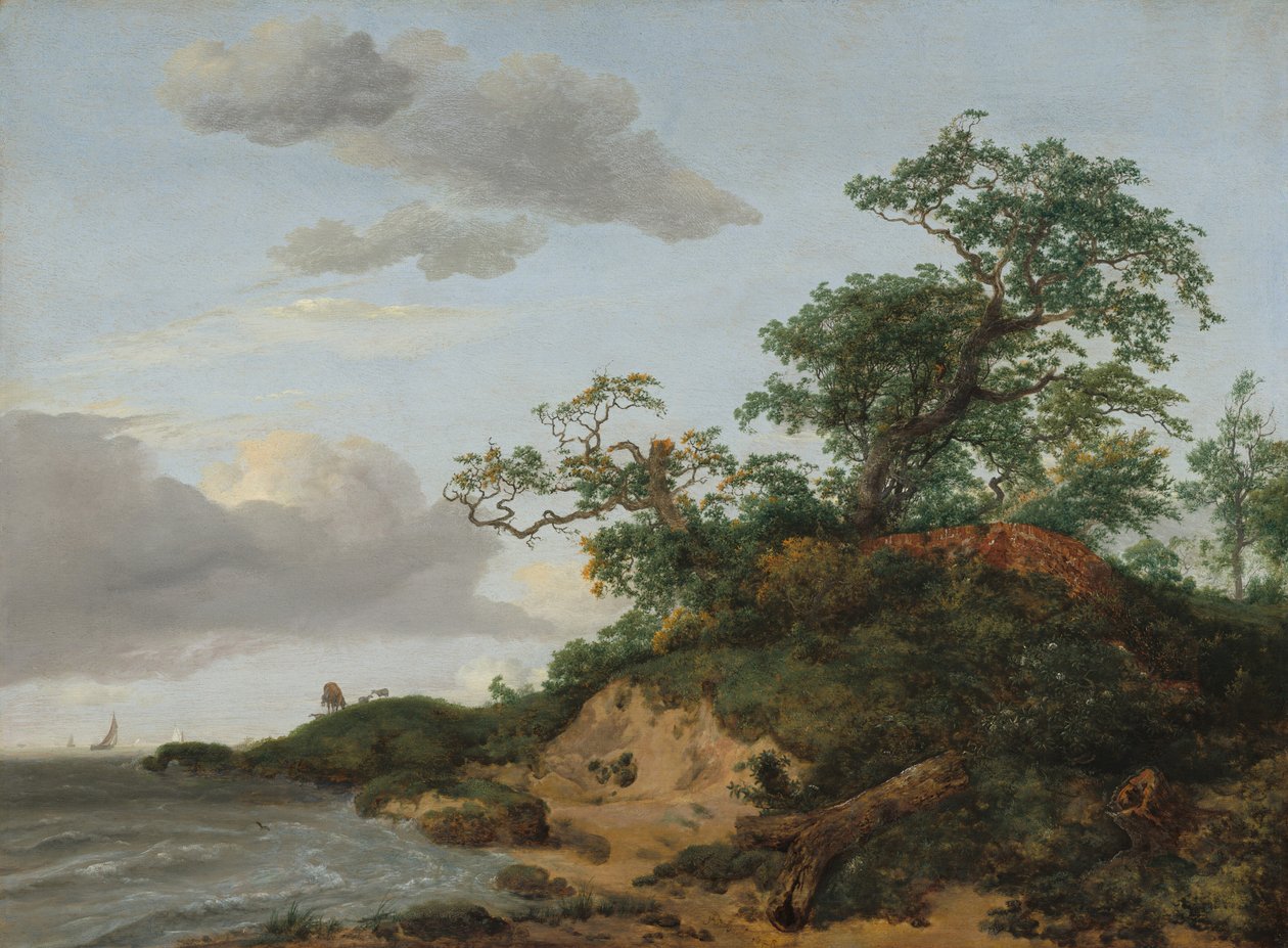Dunes par la mer - Jacob van Ruisdael