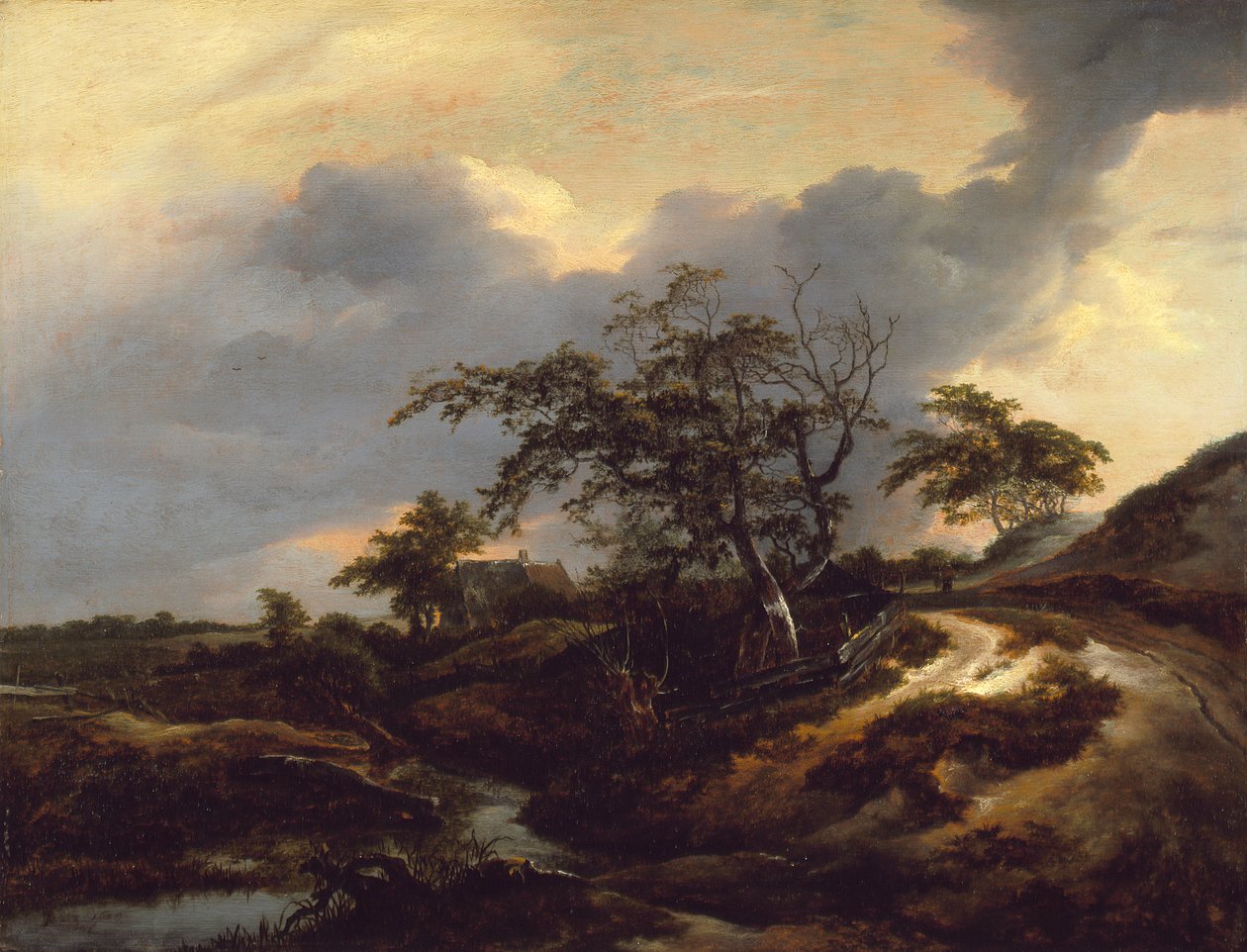Paysage avec dunes - Jacob van Ruisdael