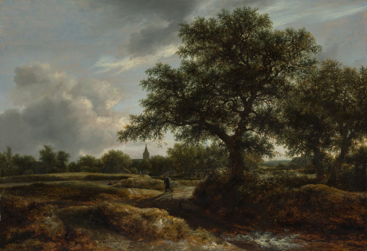 Paysage avec un village au loin, 1646 - Jacob van Ruisdael