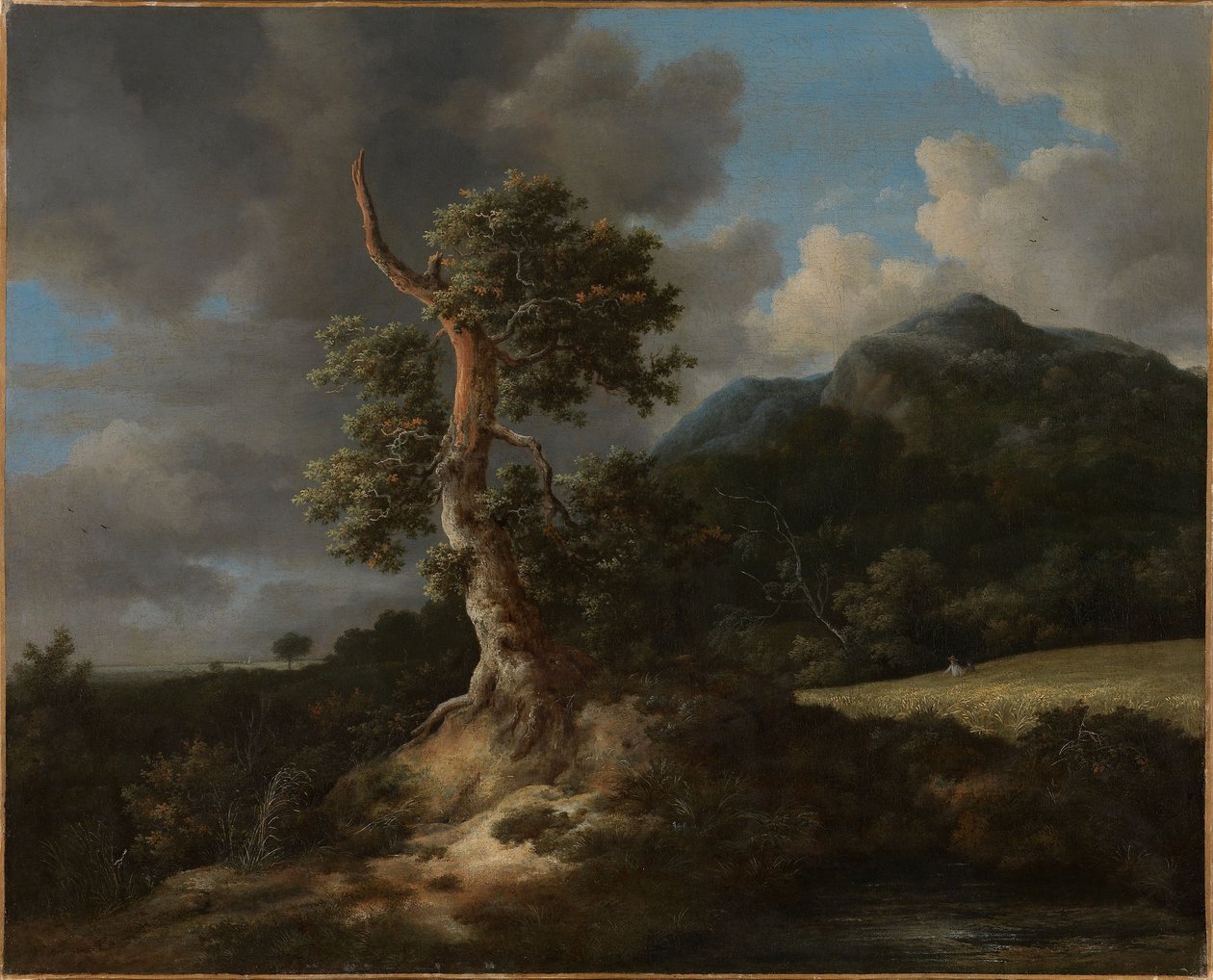 Paysage montagneux avec un chêne abattu - Jacob van Ruisdael