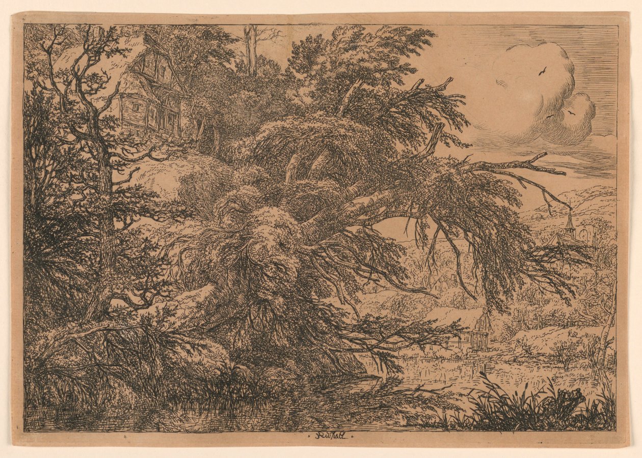 Le Cottage au Toit de Chaume sur la Colline - Jacob van Ruisdael