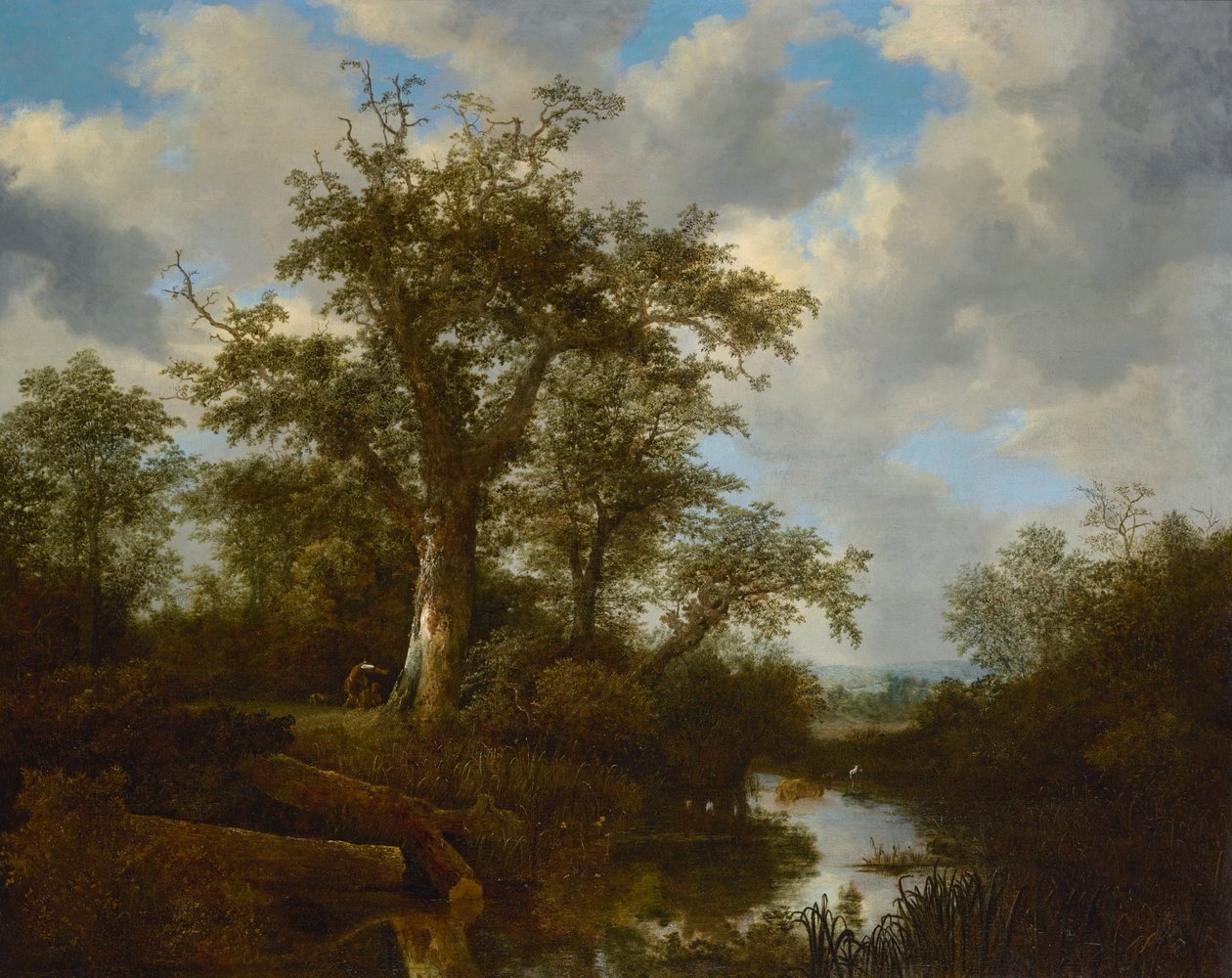 Paysage boisé avec du bétail traversant un ruisseau - Jacob van Ruisdael