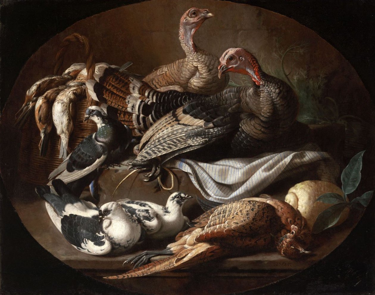Nature morte avec volailles mortes et vivantes - Jacob van der Kerckhoven