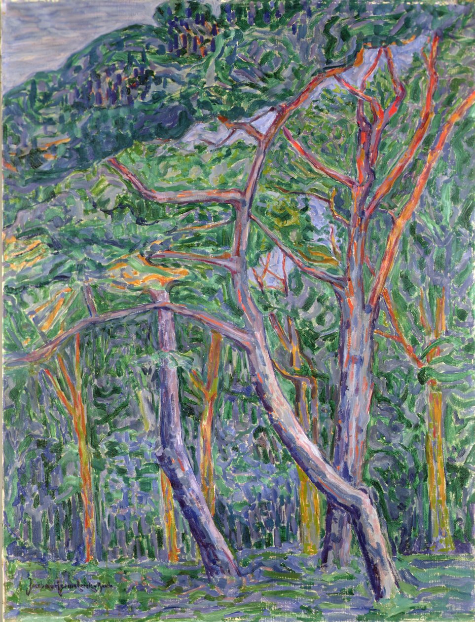 Pins - Jacoba van Heemskerck