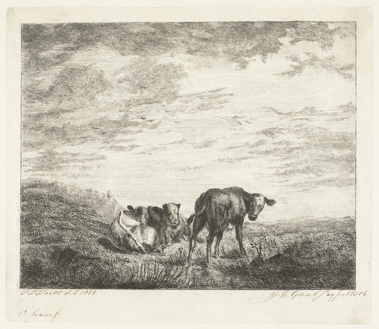 Trois veaux - Jacobus Cornelis Gaal (signed by artist)