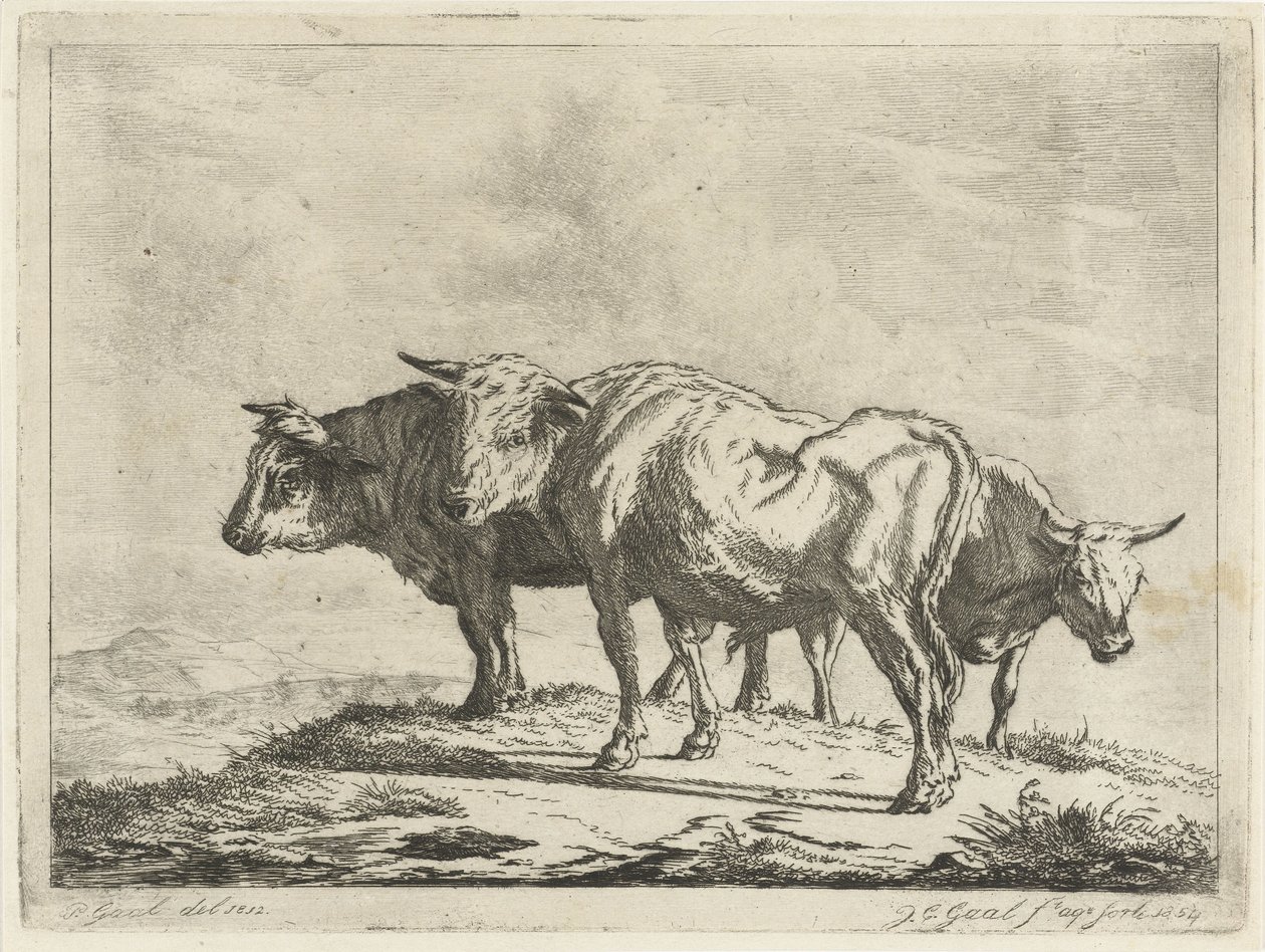Trois bœufs - Jacobus Cornelis Gaal