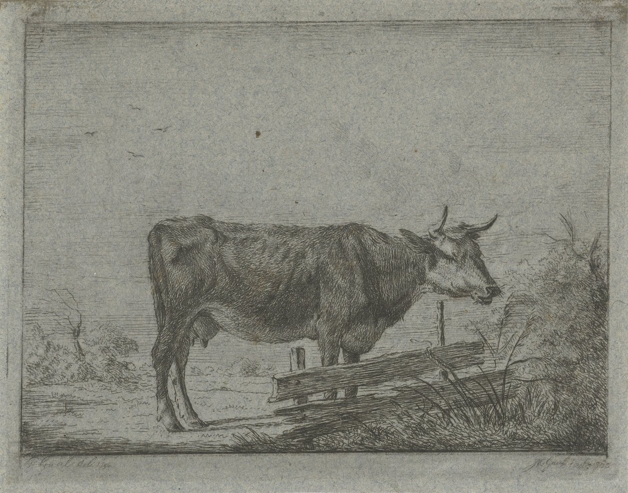 Vache debout près d