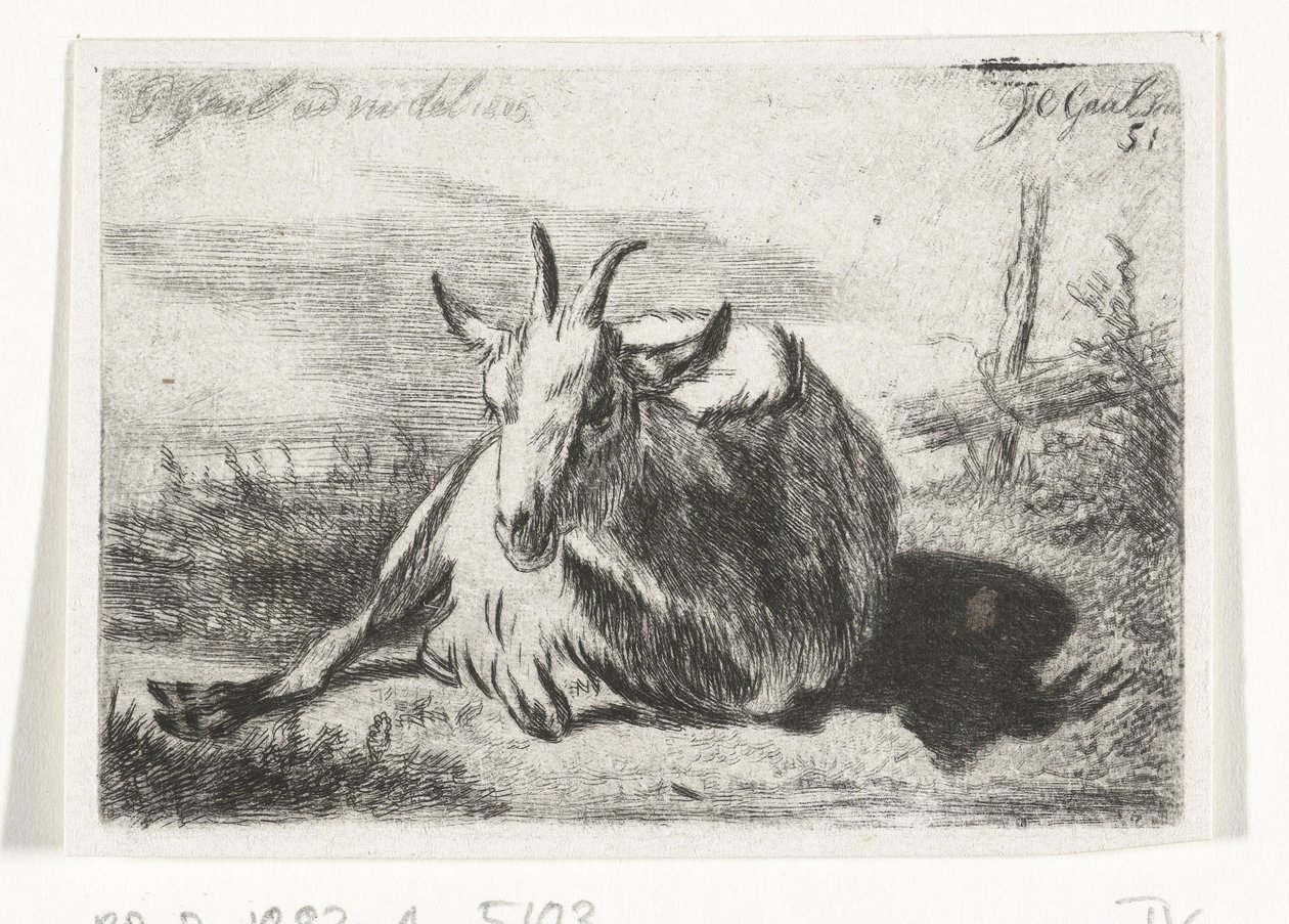 Chèvre couchée, vers la gauche - Jacobus Cornelis Gaal