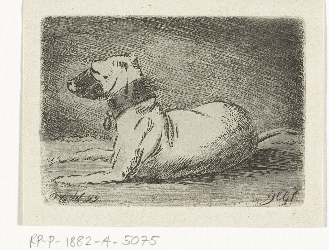 Chien couché avec collier - Jacobus Cornelis Gaal