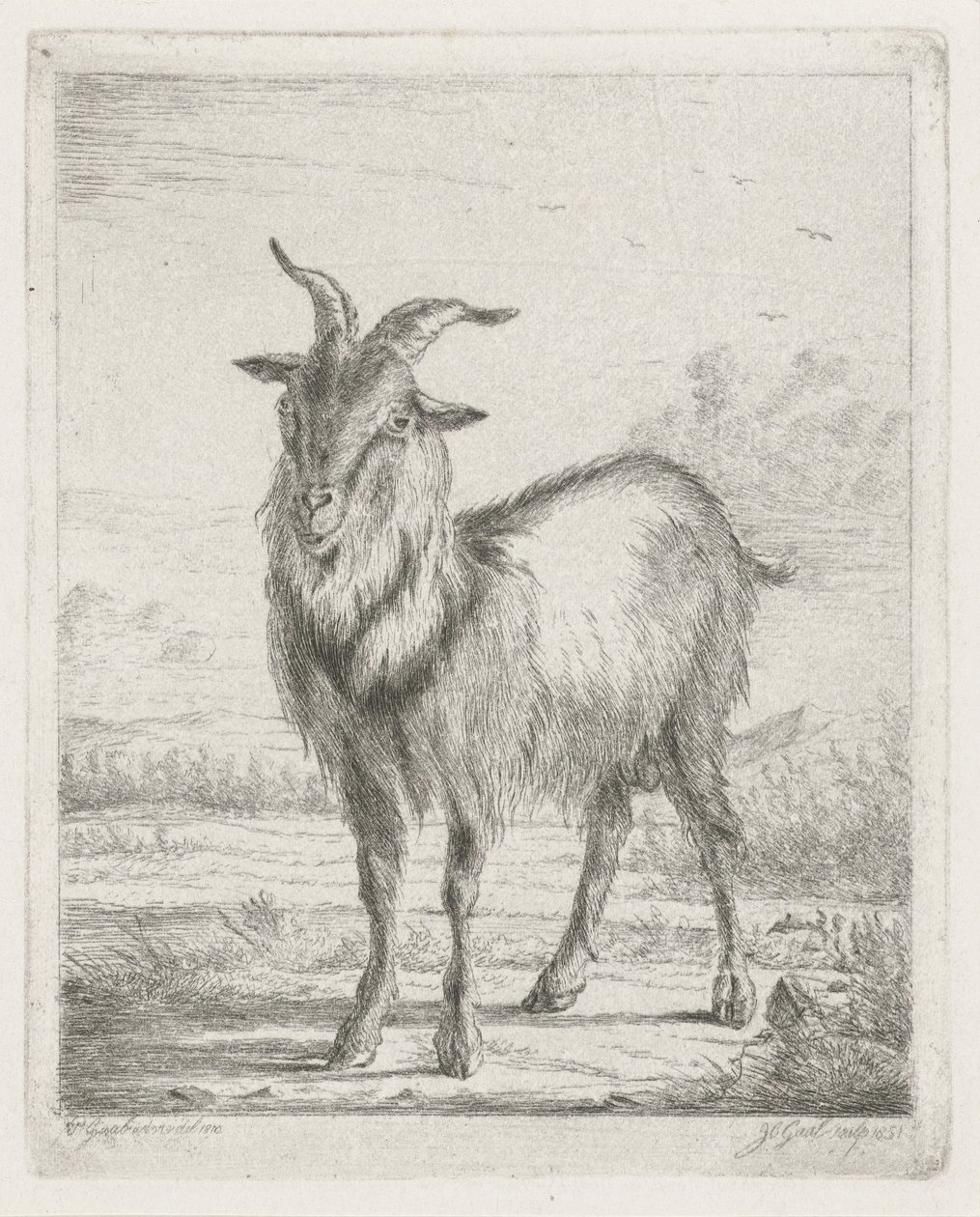 Chèvre debout - Jacobus Cornelis Gaal