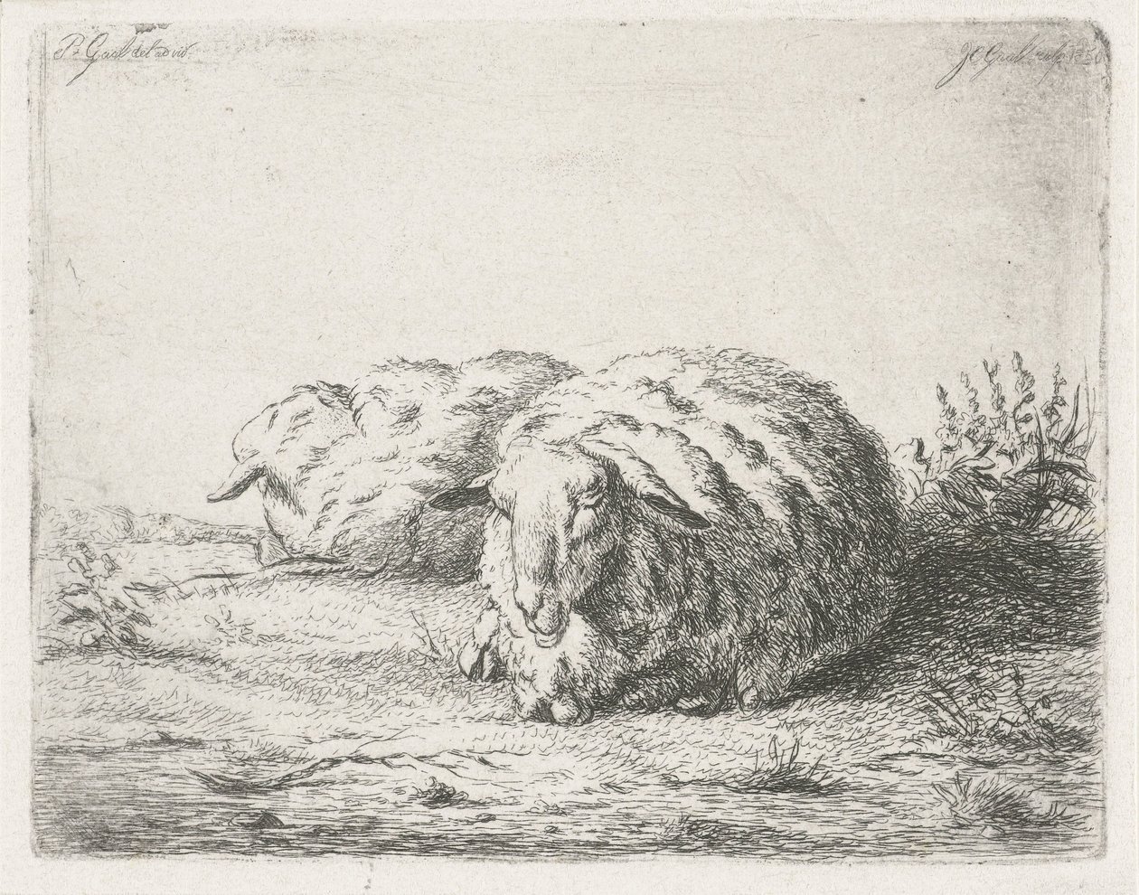 Deux moutons couchés - Jacobus Cornelis Gaal