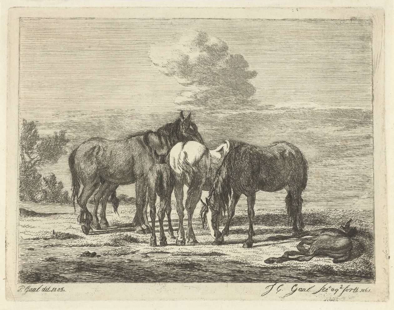 Quatre chevaux et deux poulains - Jacobus Cornelis Gaal