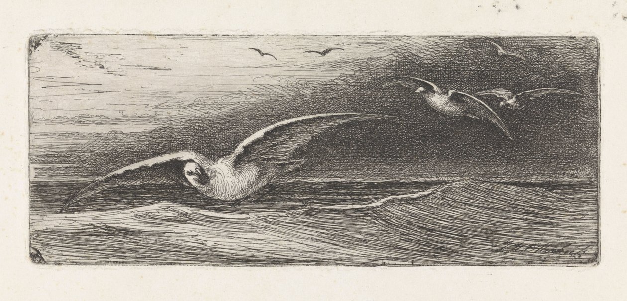 Mouettes - Jacobus Hermanus Otterbeek