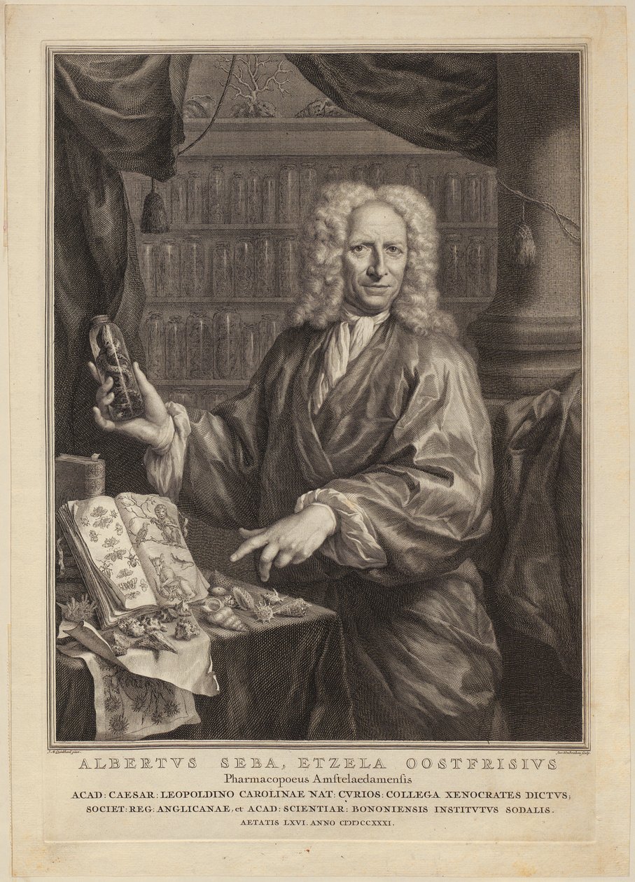 Portrait d